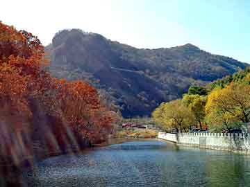 新澳天天开奖资料大全旅游团，郑州卤肉培训